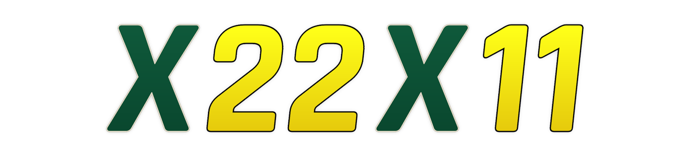 x22x11